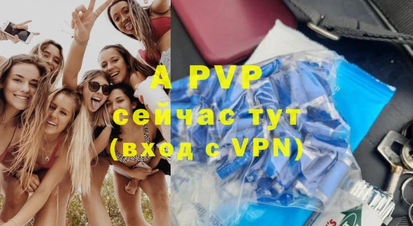стаф Беломорск