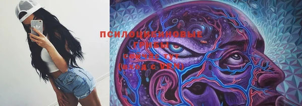 стаф Беломорск