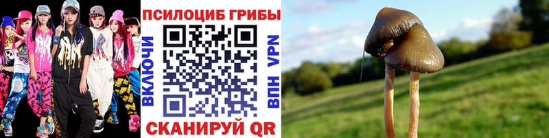 Псилоцибиновые грибы мицелий  blacksprut вход  Великие Луки 